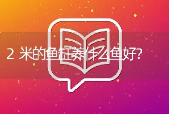 2米的鱼缸养什么鱼好？