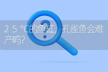 4片叶子是什么兰？