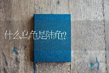 什么乌龟是陆龟？