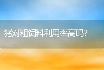 猪对粗饲料利用率高吗？