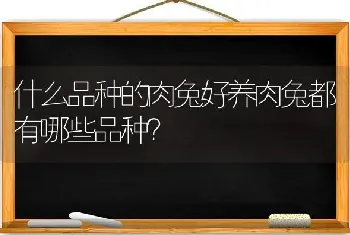 猫被打后的心理变化过程？