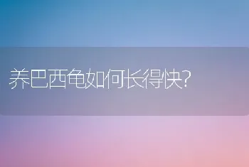 形容猫咪很皮的句子？