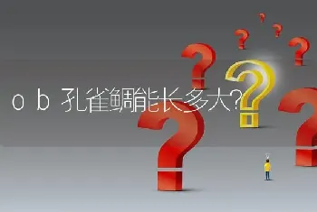 ob孔雀鲷能长多大？