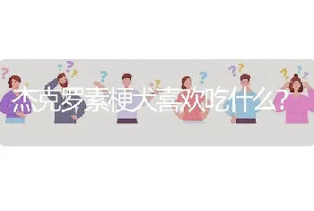 杰克罗素梗犬喜欢吃什么？