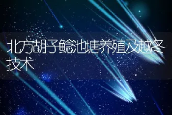 北方胡子鲶池塘养殖及越冬技术