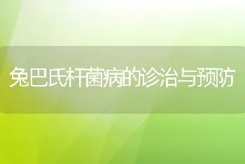 兔巴氏杆菌病的诊治与预防