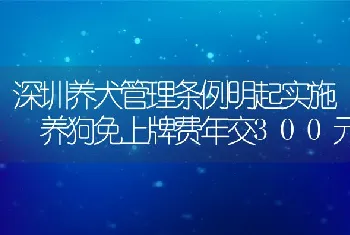 深圳养犬管理条例明起实施 养狗免上牌费年交300元