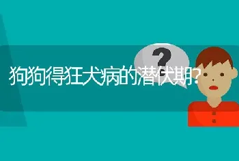 狗狗得狂犬病的潜伏期？