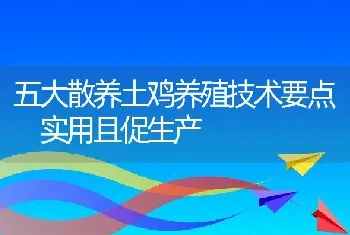 五大散养土鸡养殖技术要点 实用且促生产