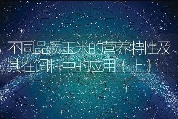 生蚝养殖密度过高水体盐度不稳定普遍被污染