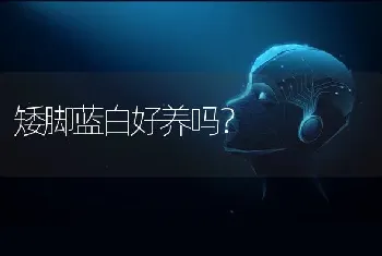 矮脚蓝白好养吗？