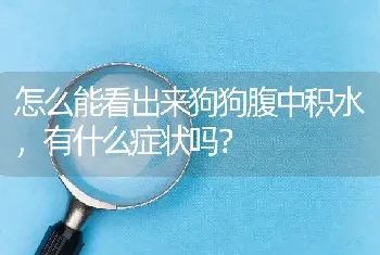 怎么能看出来狗狗腹中积水，有什么症状吗？