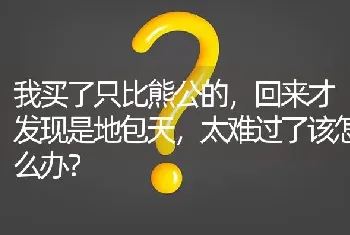 我买了只比熊公的，回来才发现是地包天，太难过了该怎么办？