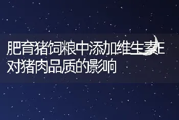 肥育猪饲粮中添加维生素E对猪肉品质的影响