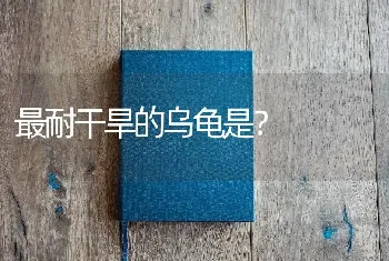 最耐干旱的乌龟是？