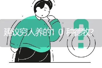 建议穷人养的10种德牧？