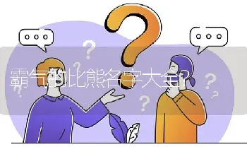 霸气的比熊名字大全？