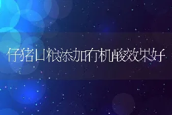 波尔山羊木舌症的治疗