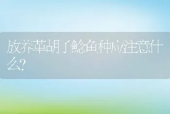 放养革胡子鲶鱼种应注意什么？