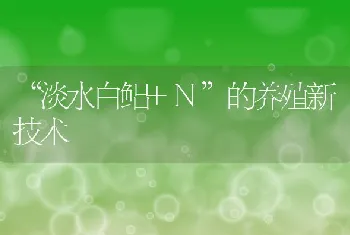 淡水白鲳+N的养殖新技术