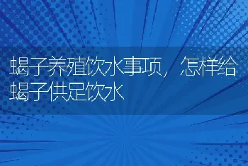 蝎子养殖饮水事项，怎样给蝎子供足饮水