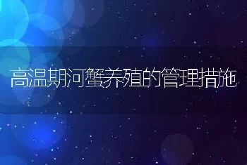 高温期河蟹养殖的管理措施