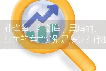 孔雀鱼、红剑鱼、黑玛丽、红鱼的寿命分别是多少？详细点？