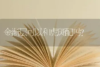 金渐层可以和虎斑配吗？