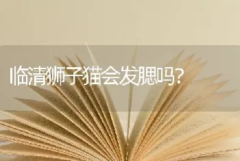 怎么和萨摩耶玩？