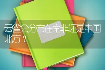 两个月的幼犬智力相当于几岁儿童？