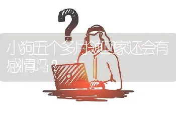 小狗五个多月领回家还会有感情吗？