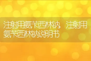 注射用氨苄西林钠，注射用氨苄西林钠说明书