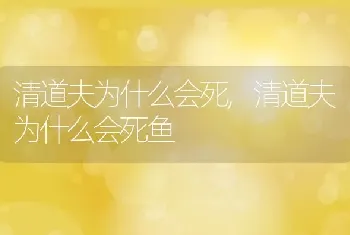 清道夫为什么会死，清道夫为什么会死鱼