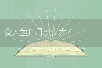 南鲳鱼学名？