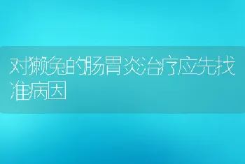 对獭兔的肠胃炎治疗应先找准病因