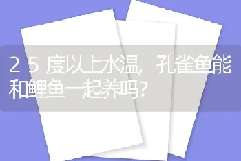 25度以上水温,孔雀鱼能和鲤鱼一起养吗？