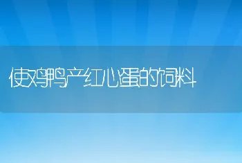 使鸡鸭产红心蛋的饲料