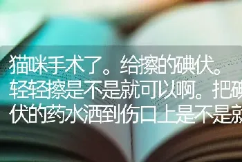 猫咪手术了。给擦的碘伏。轻轻擦是不是就可以啊。把碘伏的药水洒到伤口上是不是就可以啊，猫咪不让细擦？