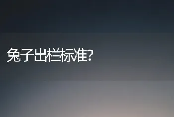 兔子出栏标准？