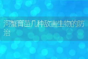 河蟹育苗几种敌害生物的防治