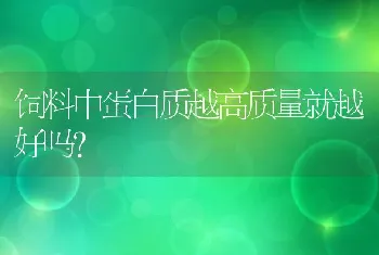 饲料中蛋白质越高质量就越好吗？