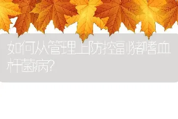 如何从管理上防控副猪嗜血杆菌病？