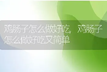 关于狗的故事，关于狗的故事简短