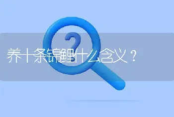 养十条锦鲤什么含义？