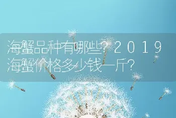 海蟹品种有哪些？2019海蟹价格多少钱一斤？