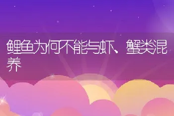 促使青年母猪和乏情母猪发情的方法大全