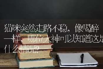 猫咪突然走路不稳，像喝醉一样，哪位大神可以知道这是什么情况？