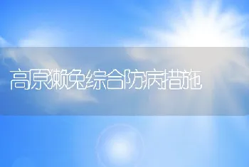 高原獭兔综合防病措施