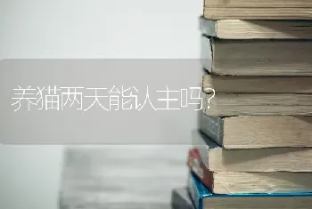 养猫两天能认主吗？