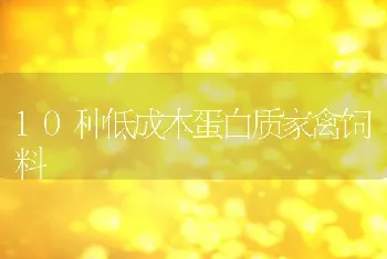 10种低成本蛋白质家禽饲料